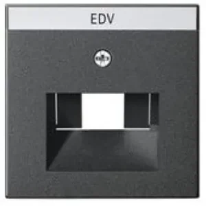 Gira 028428 System 55 Abdeckung für UAE IAE (ISDN)-und Netzwerk-Anschlussdose mit Beschriftungsfeld Anthrazit Expressversand