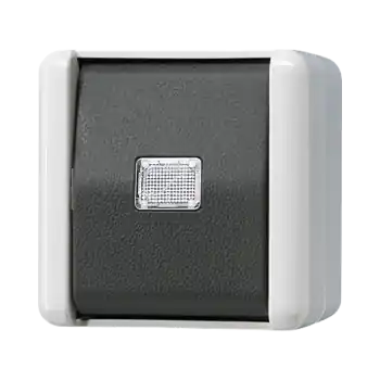 Expressversand Jung 833W Taster 1-pol. Wechsler mit N-Klemme WG800