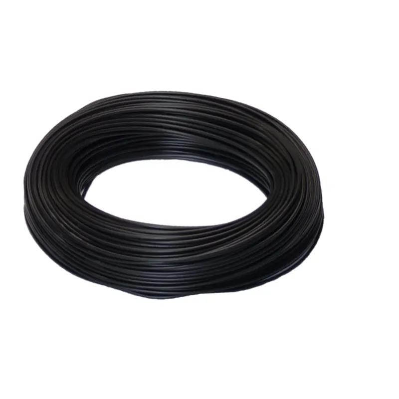 100m PVC-Aderleitung Eca H07V-U 1x10 RG100m schwarz Bestseller